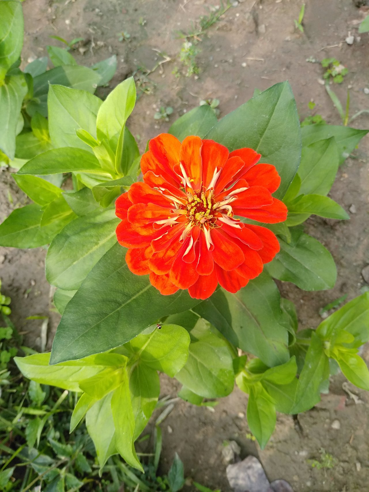 IMG_20220112_105833.jpg