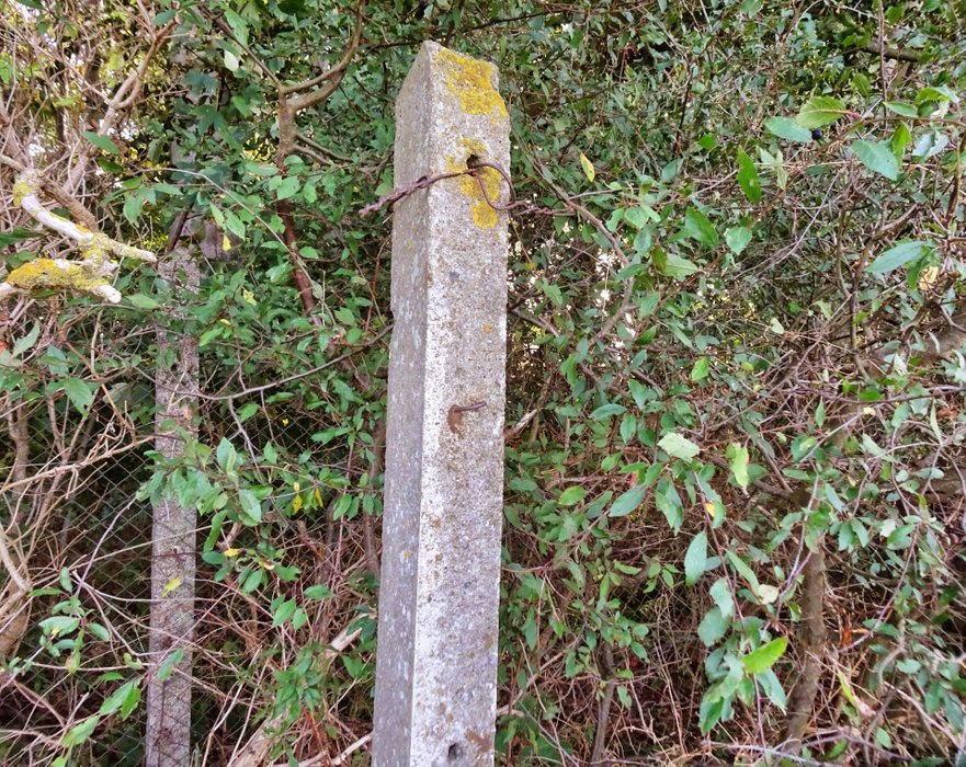 Deep in the jungle we discovered an old fence post from the Iron Curtain.