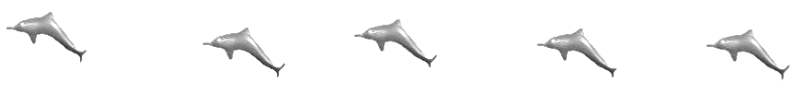 dolphin-divider-schamangerbert.png
