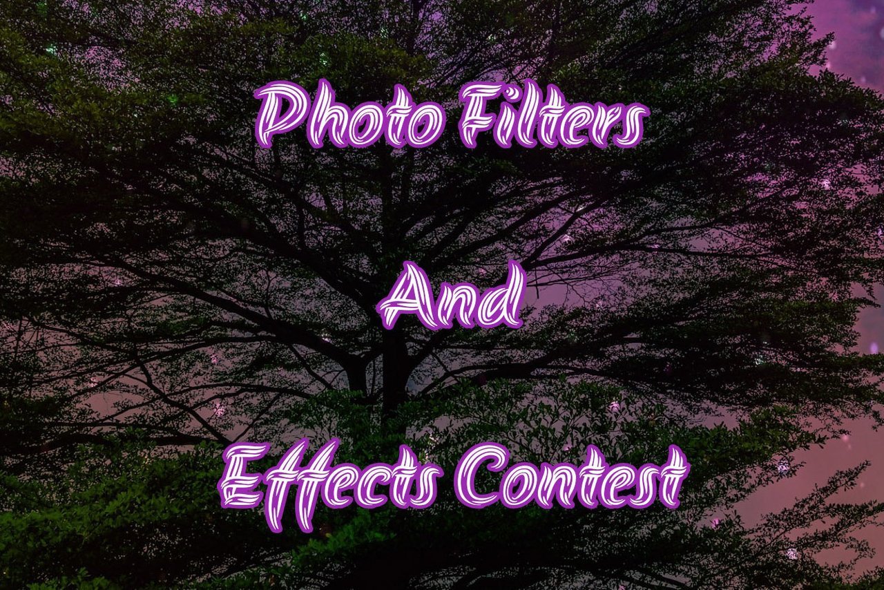 RNFetchBlobTmp_knz72esxdwkj324tpdy8.jpg