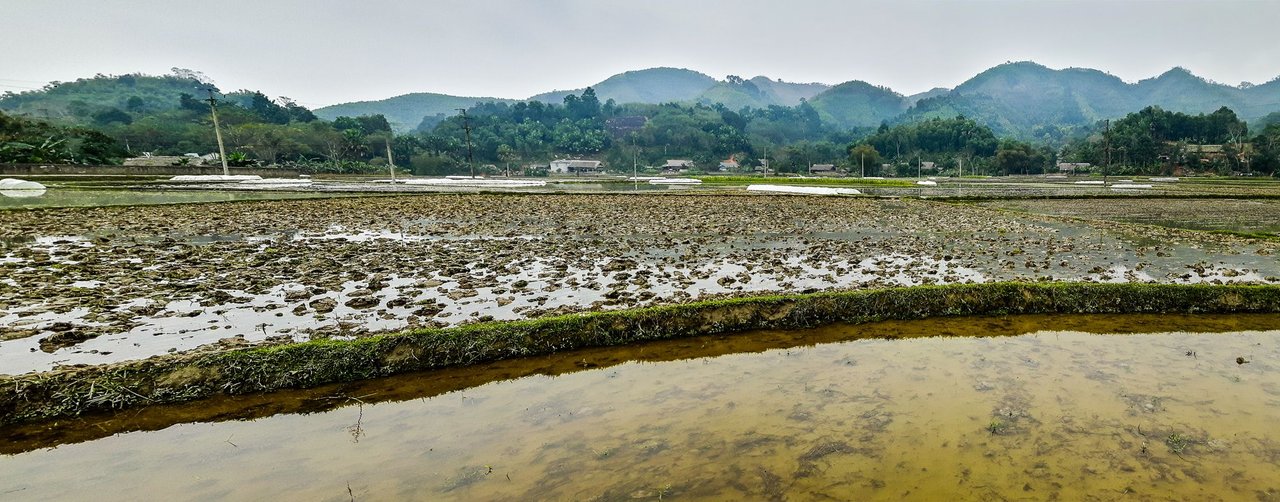 20180119_110546_Richtone(HDR)-Pano.jpg