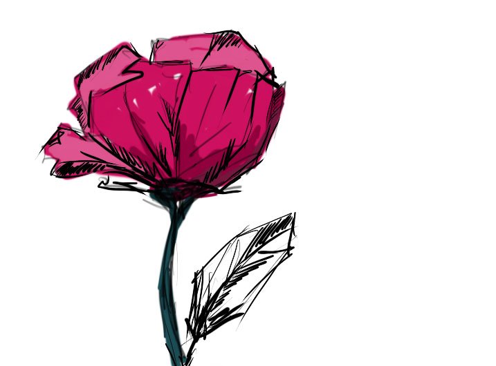 pink flower.jpg