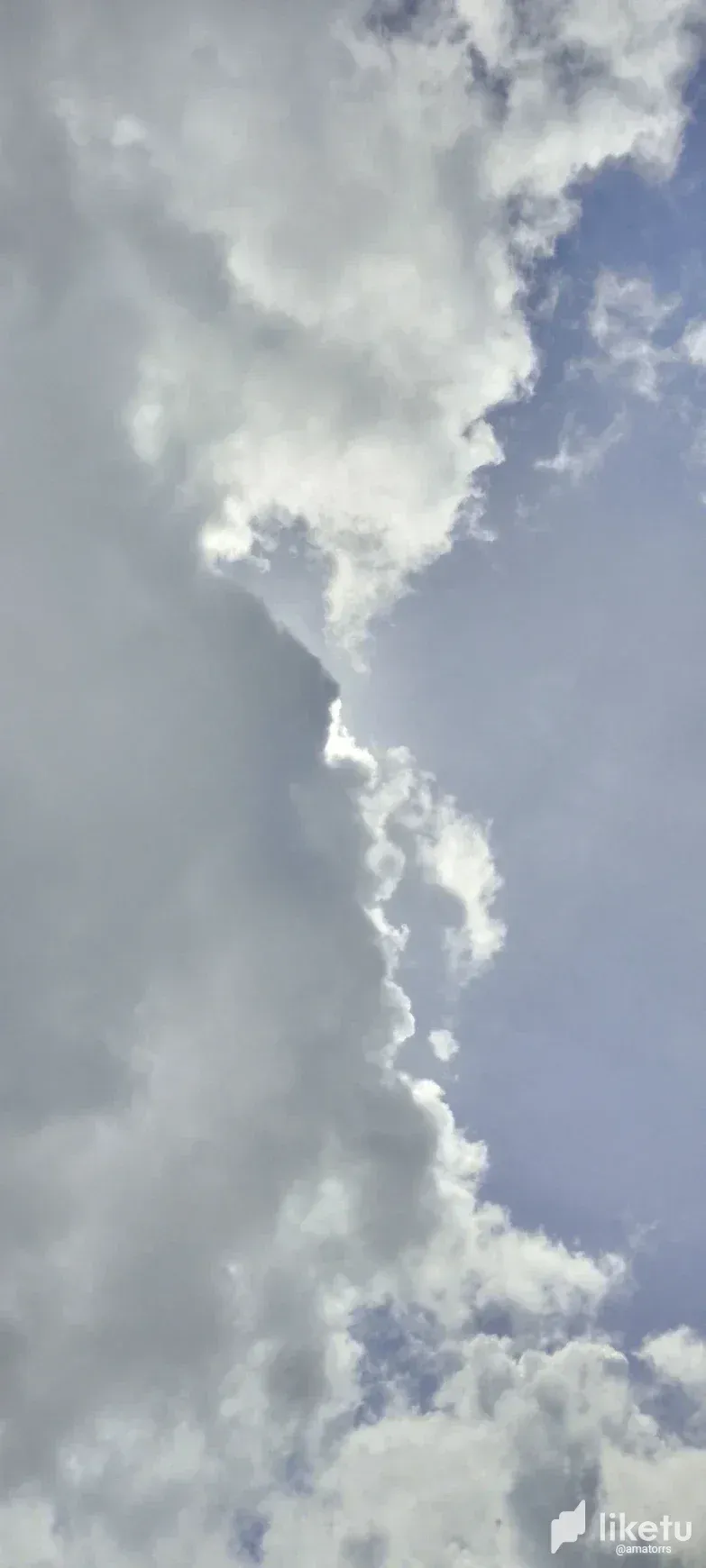 clwjvmgoy00565mszfo245qnp_1000188687.webp