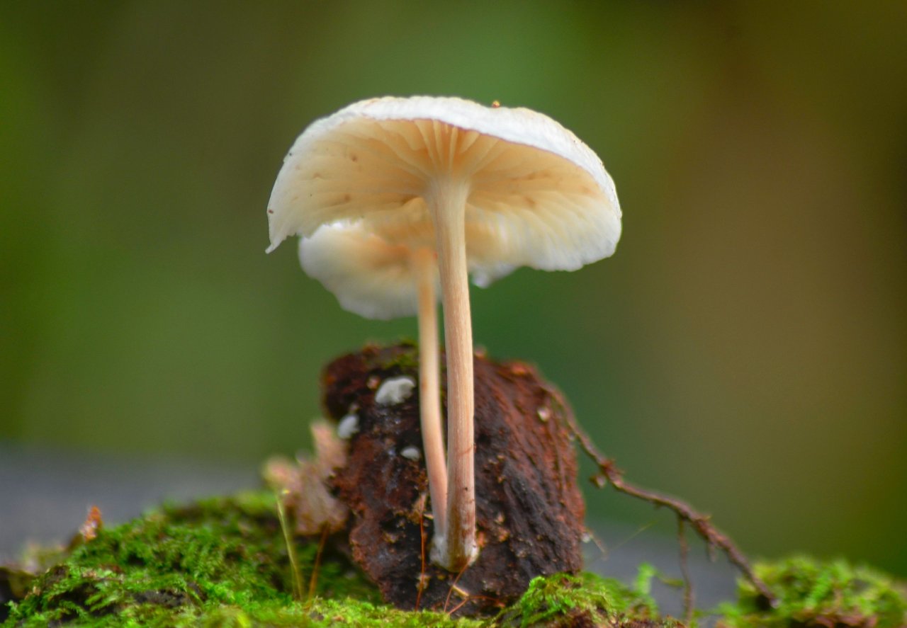 _AHW3453.jpg