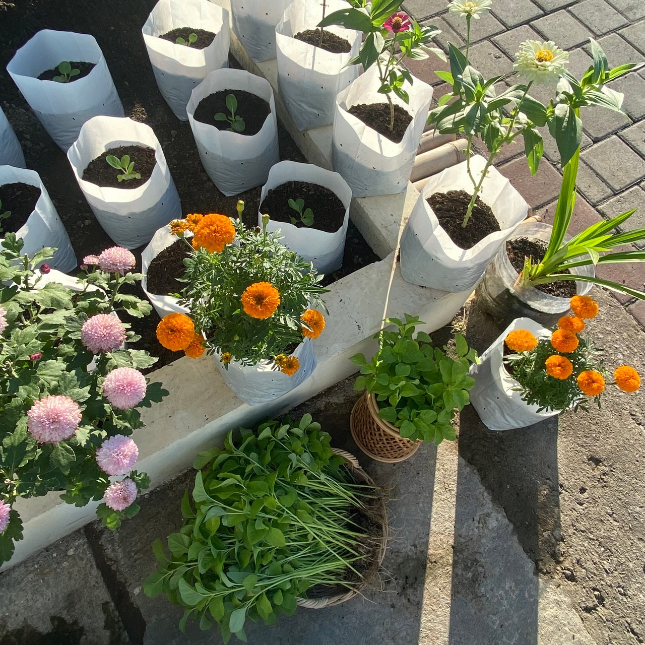 IMG_6197.jpeg