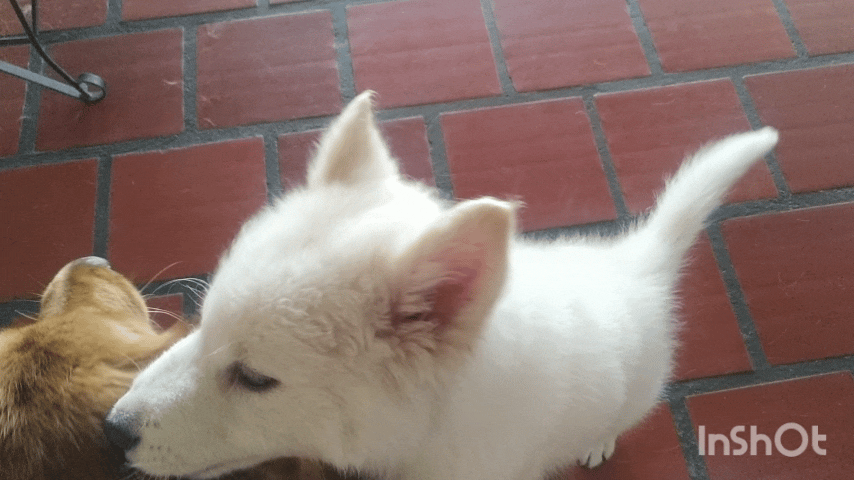 1750526665145.gif