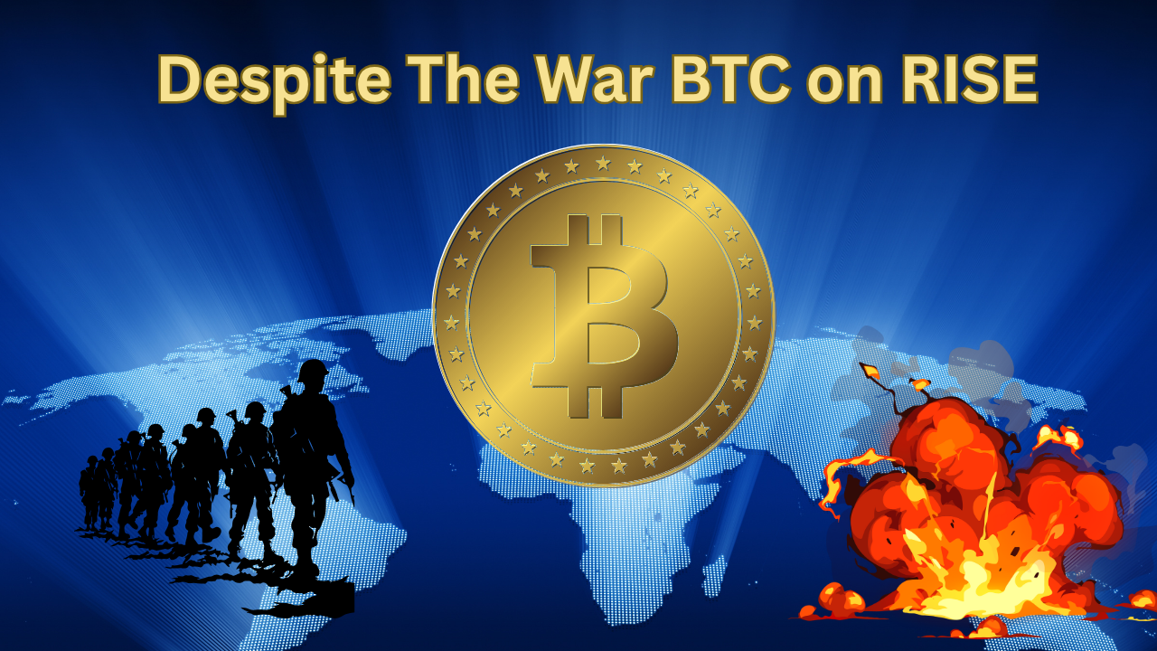Despite The War BTC on RISE.png