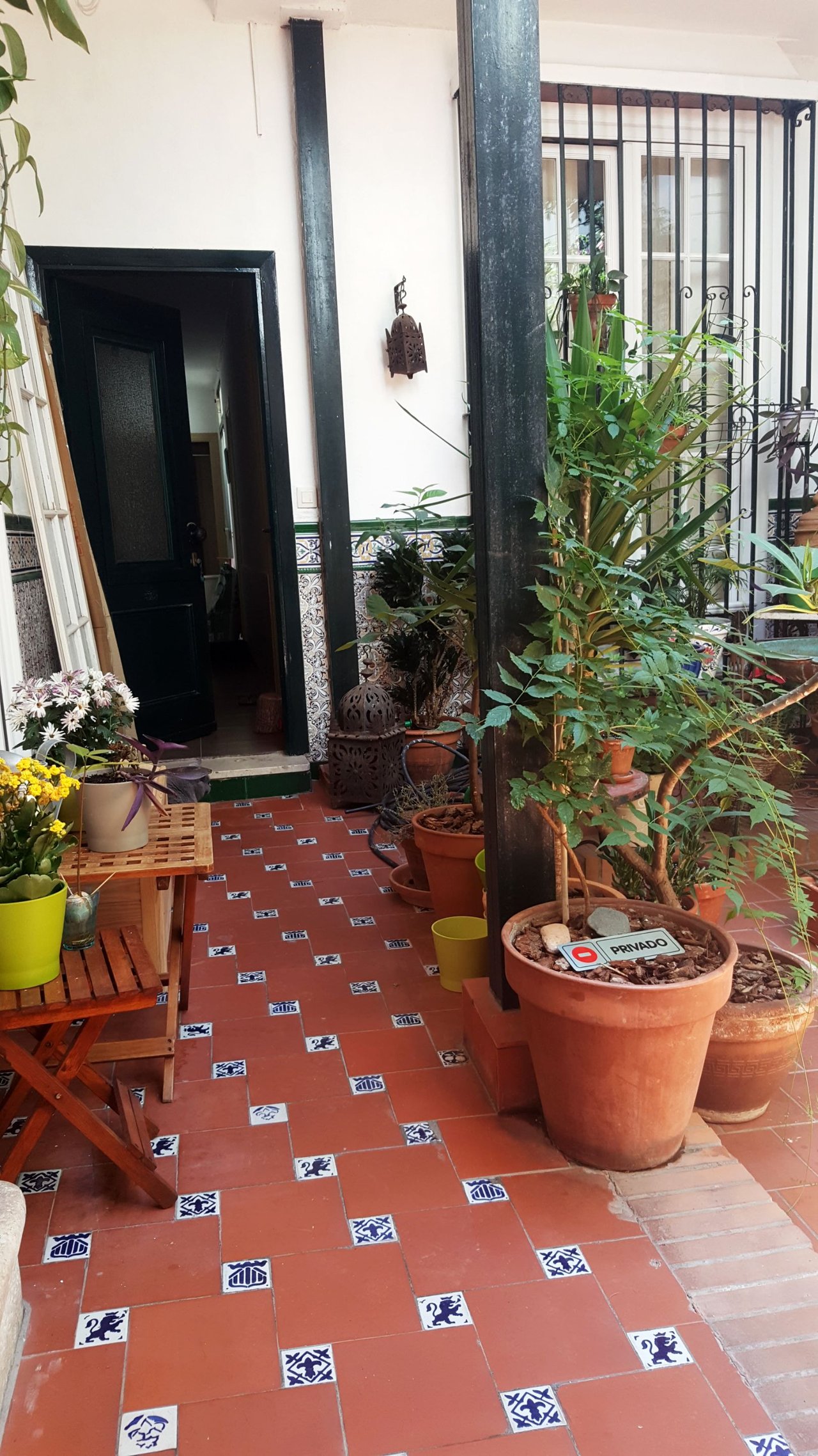 IMG-20180617-WA0056.jpeg