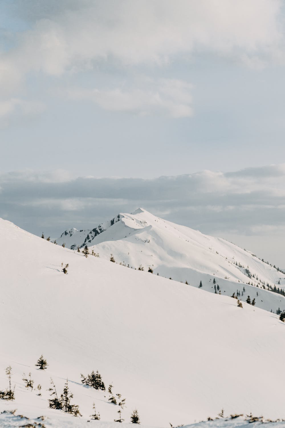 pexels-photo-7689063.jpeg
