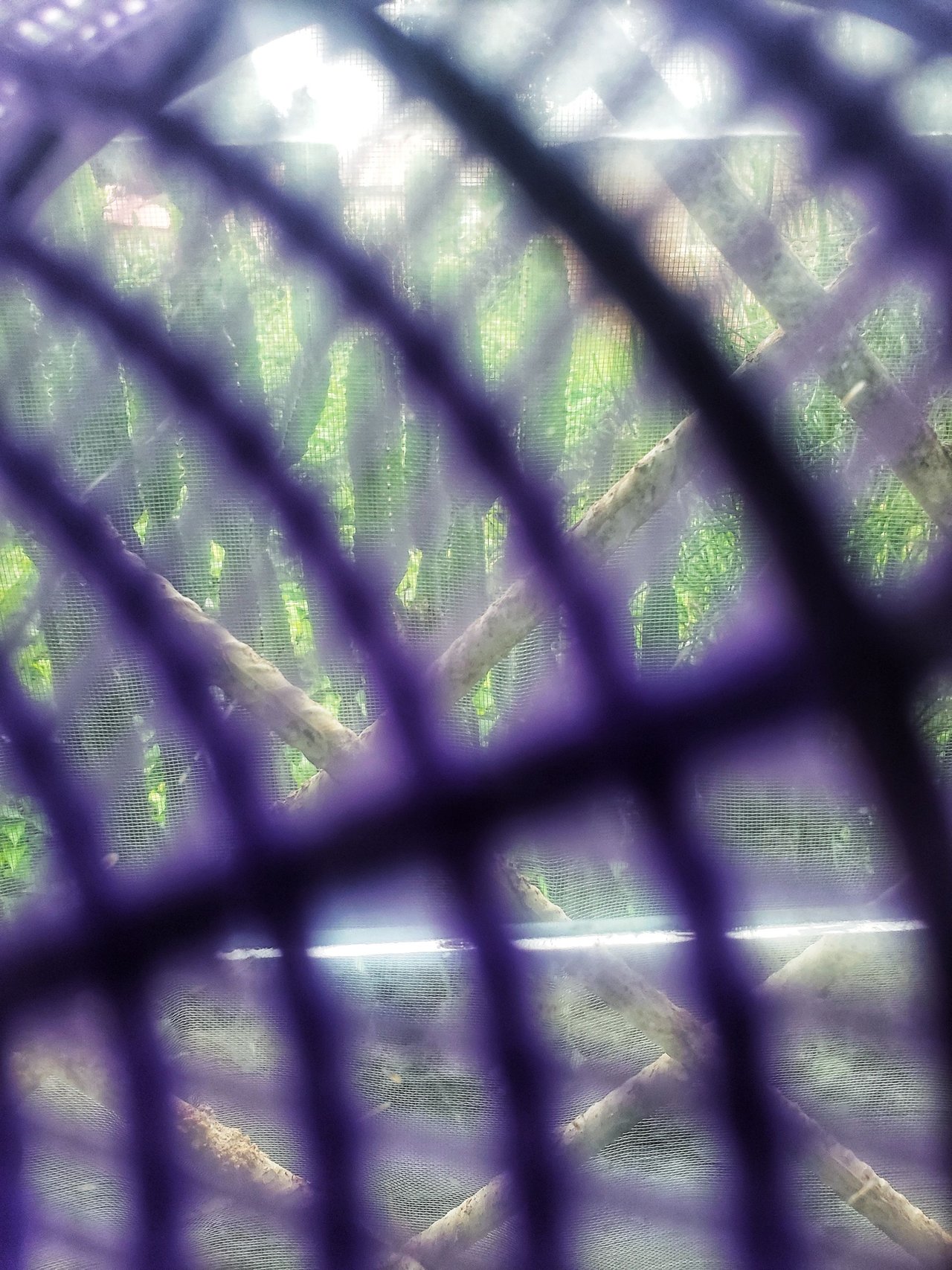 20250703_180550-01.jpeg