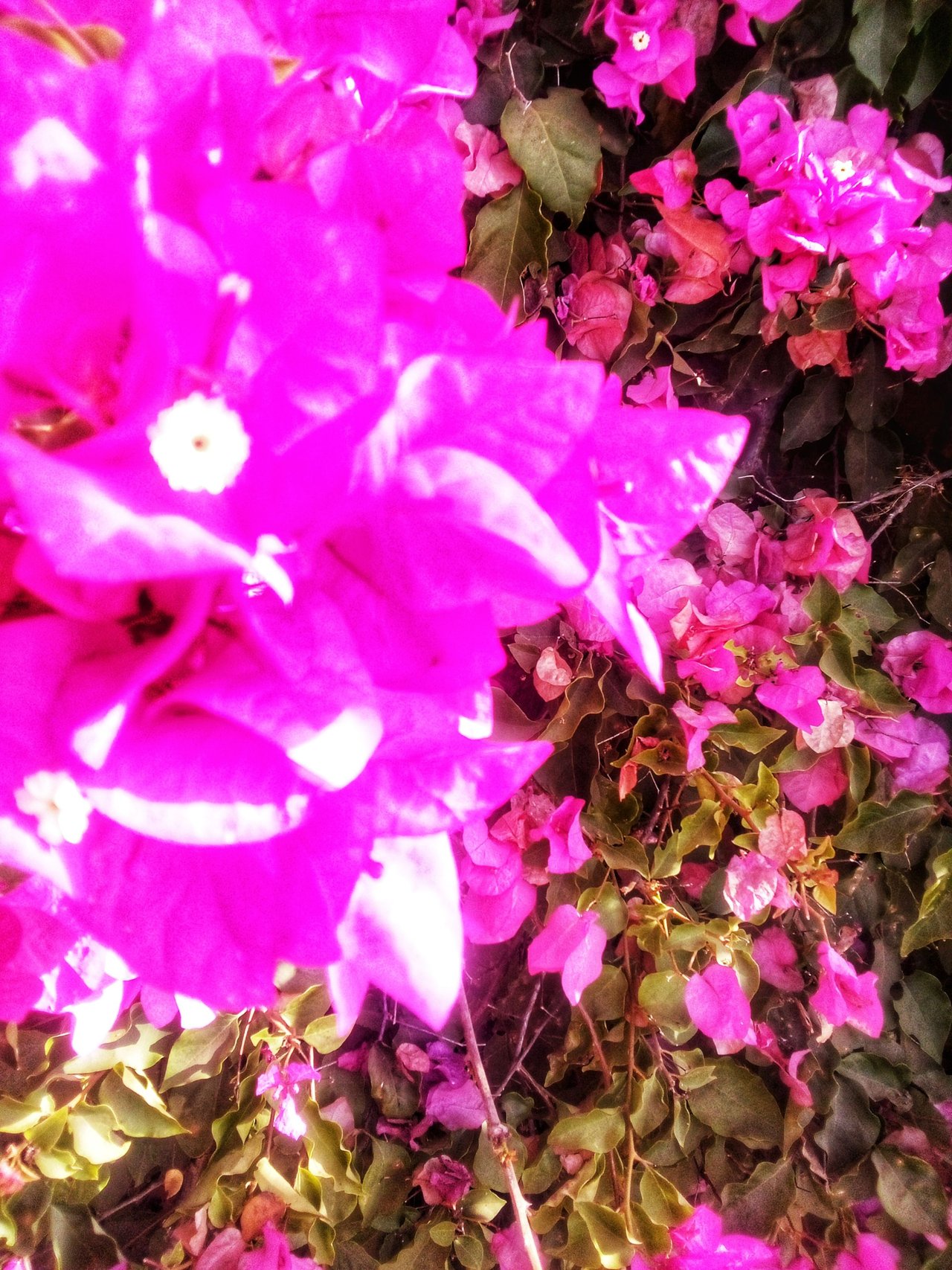 IMG_20250206_095843_654-01.jpeg