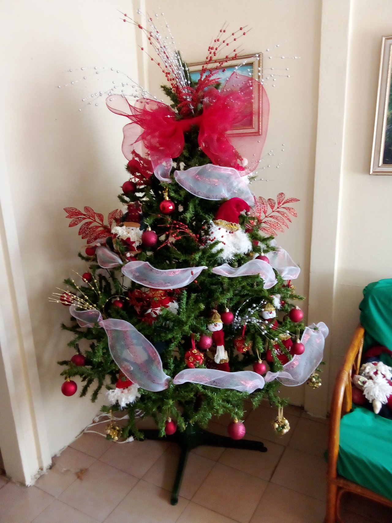 IMG_20250124_140615.jpg