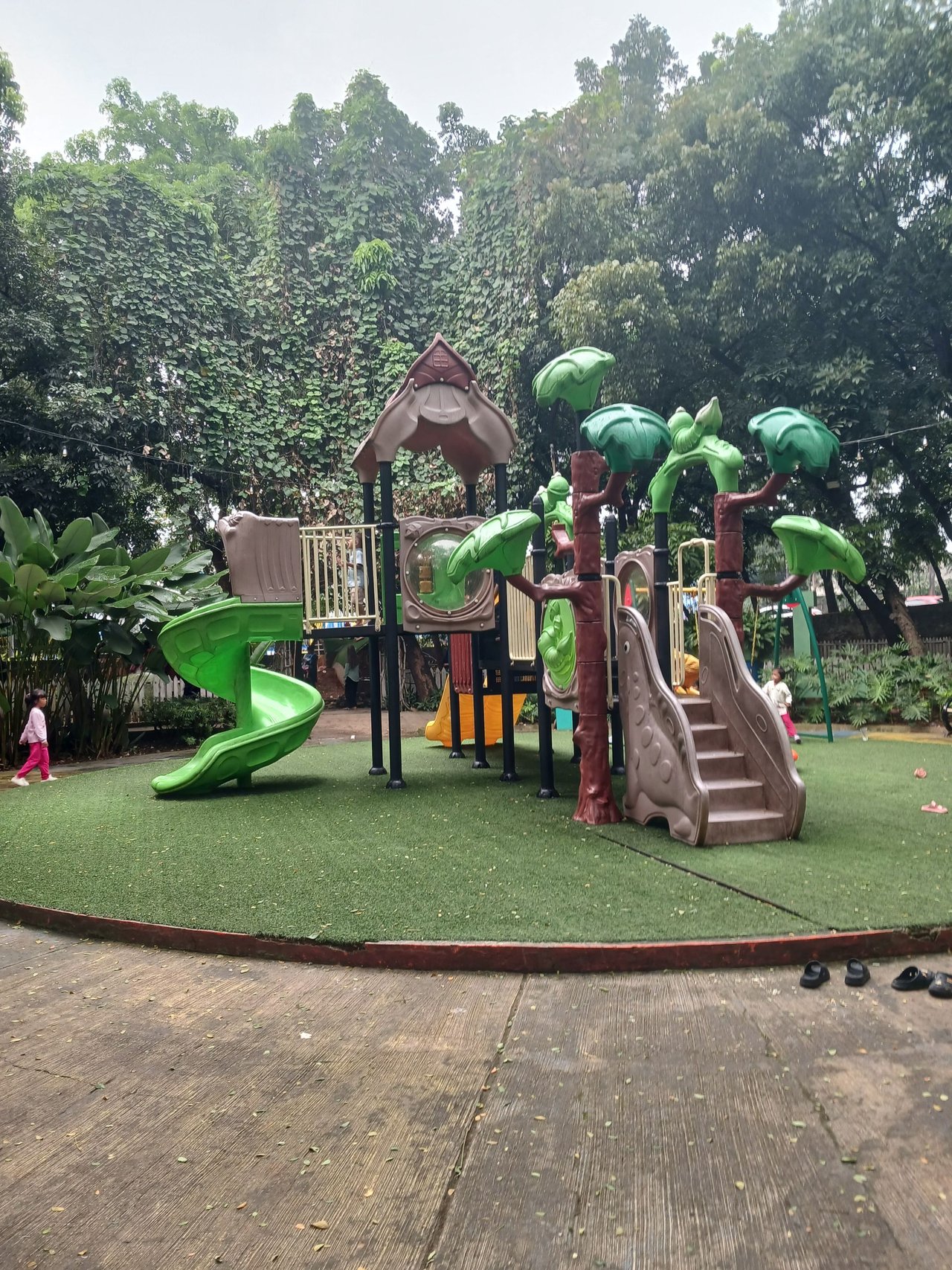 20250628_123756.jpg