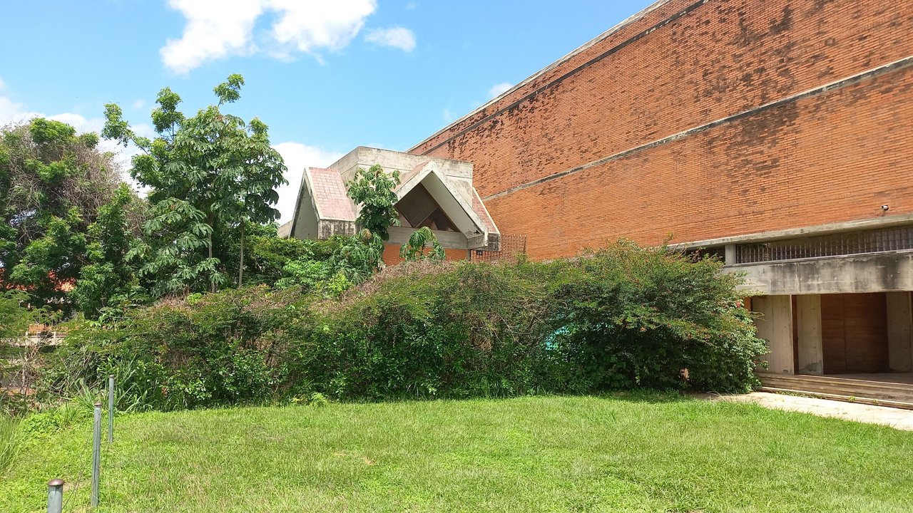 20250627_115412.jpg