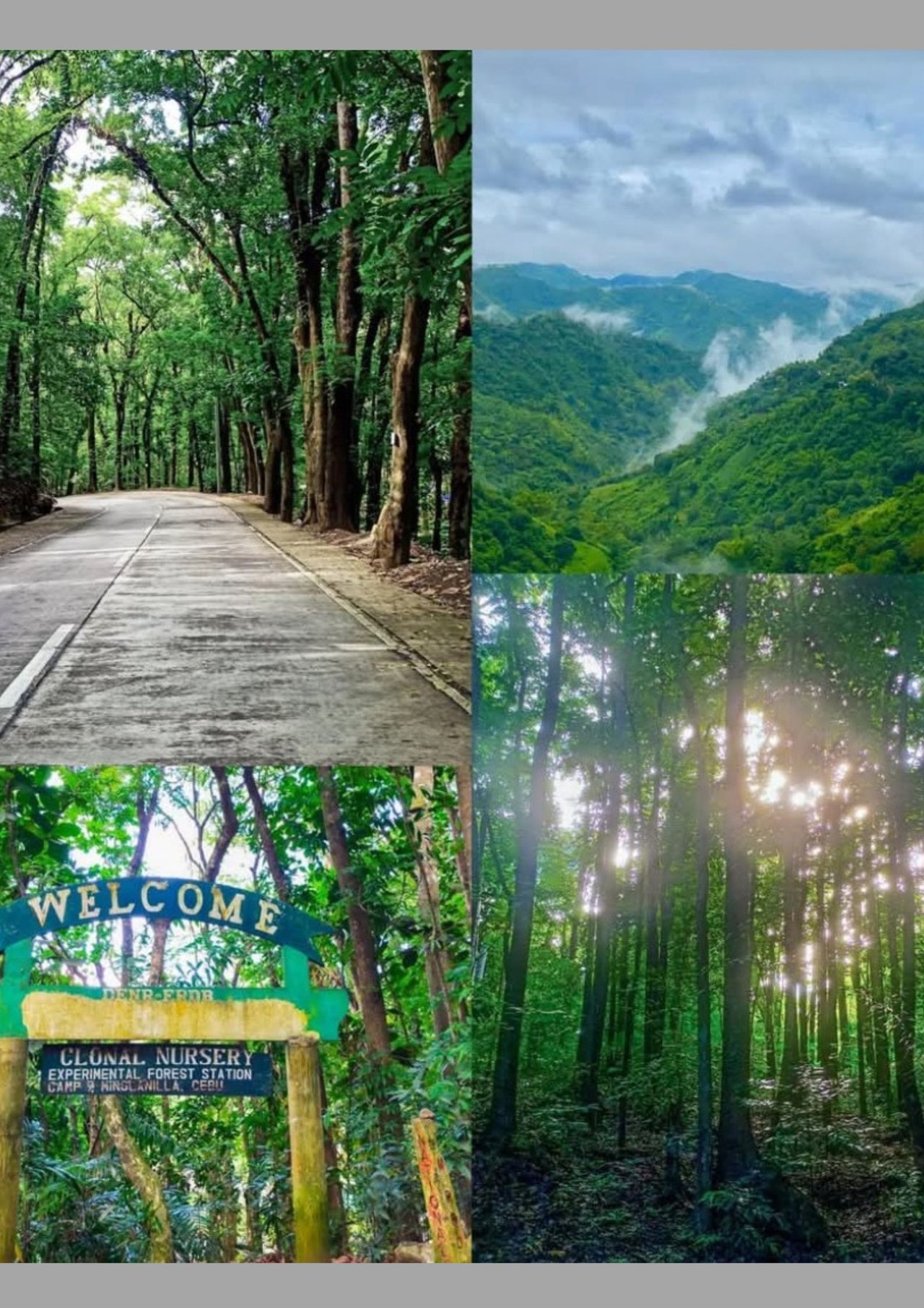 Photo Collage Template (Poster)_20250318_223852_0000.jpg