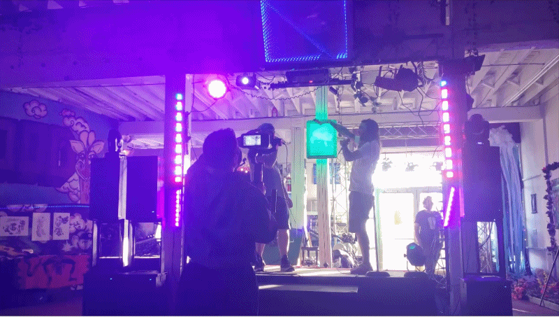 ELA-PERK-GIF1.gif