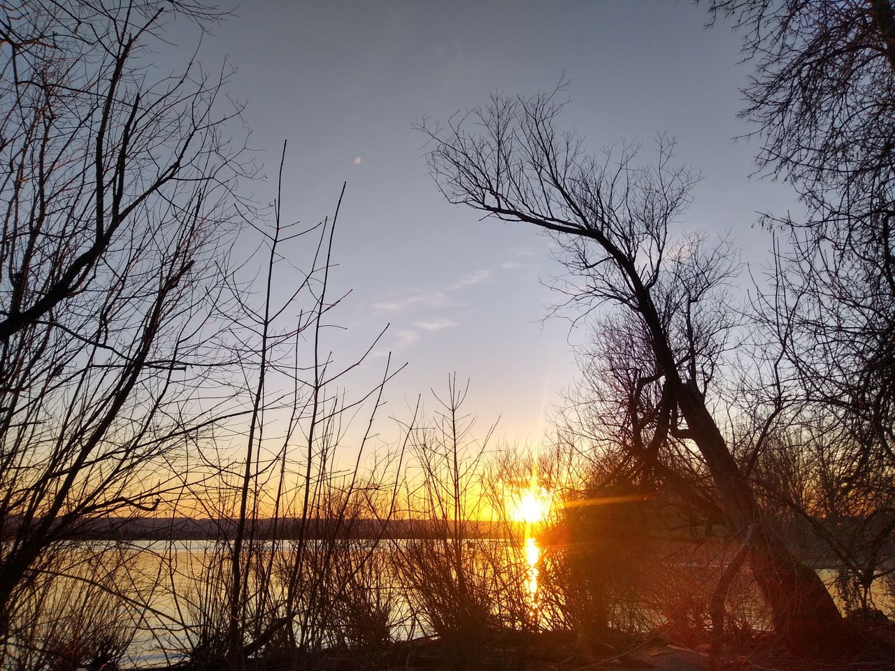 IMG_20210311_175535757_HDR.jpg