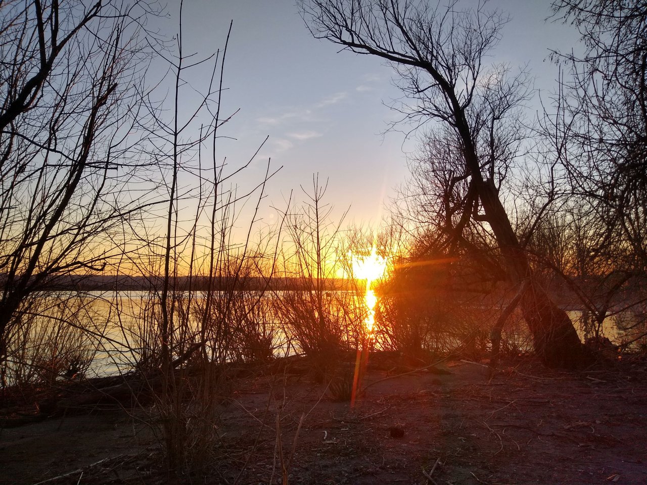 IMG_20210311_175532553_HDR.jpg