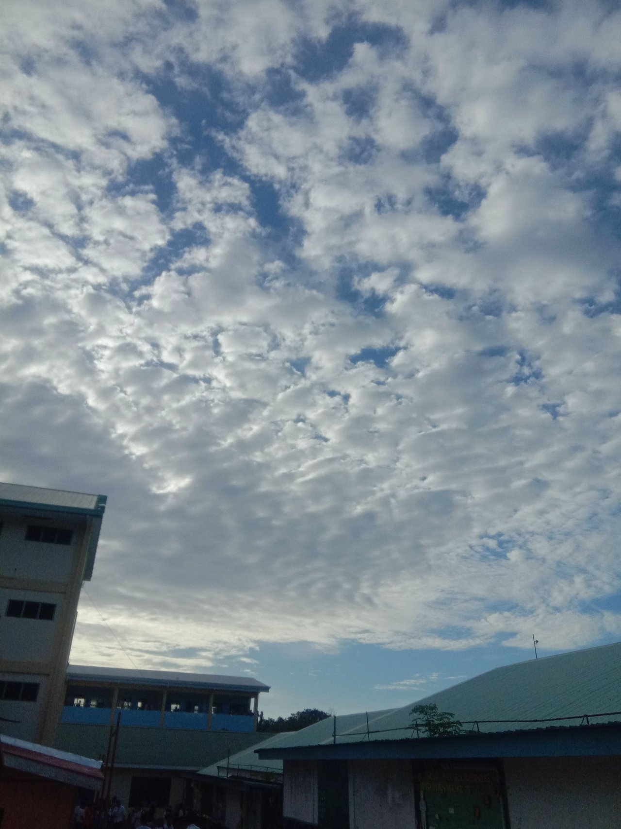 IMG_20240207_163000.jpg