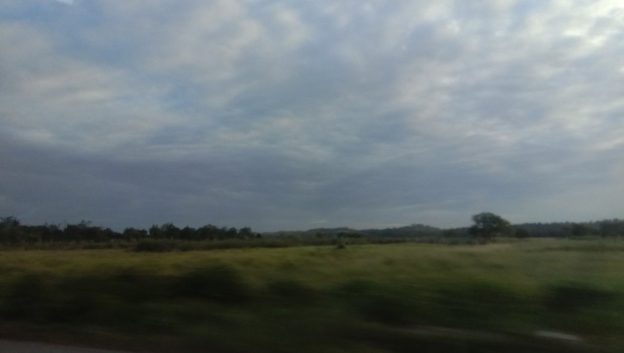 IMG_20240223_172514.jpg