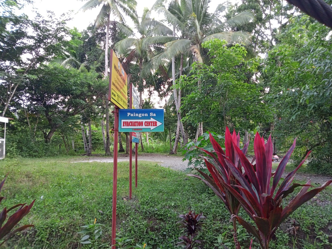 IMG20240814171141_00.jpg