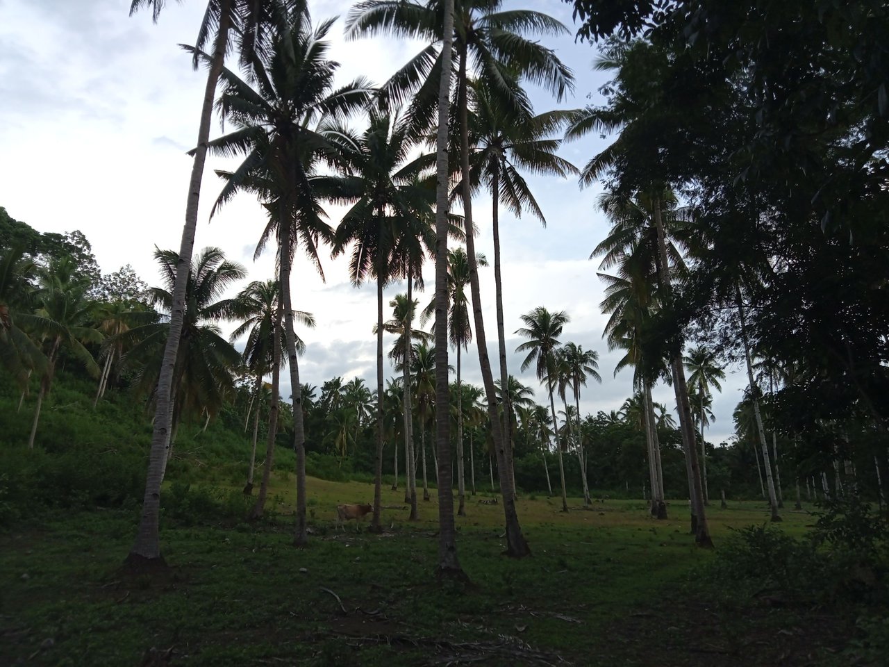 IMG20240814165921_00.jpg