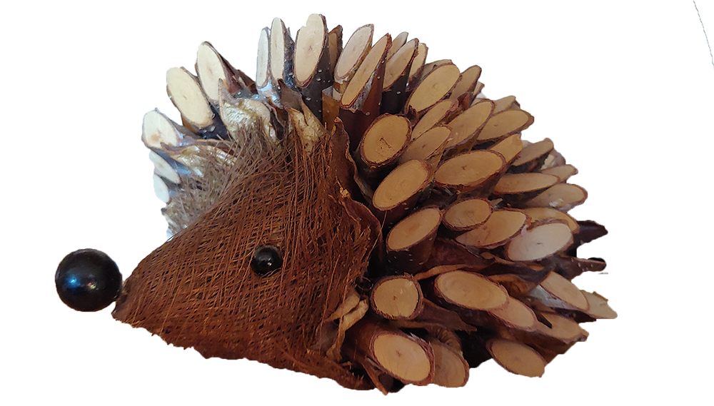 12_hedgehog_memorabilia.png