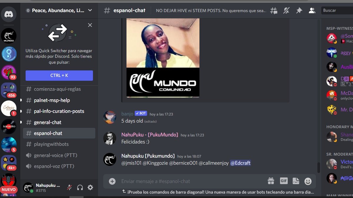 palnet1.jpg