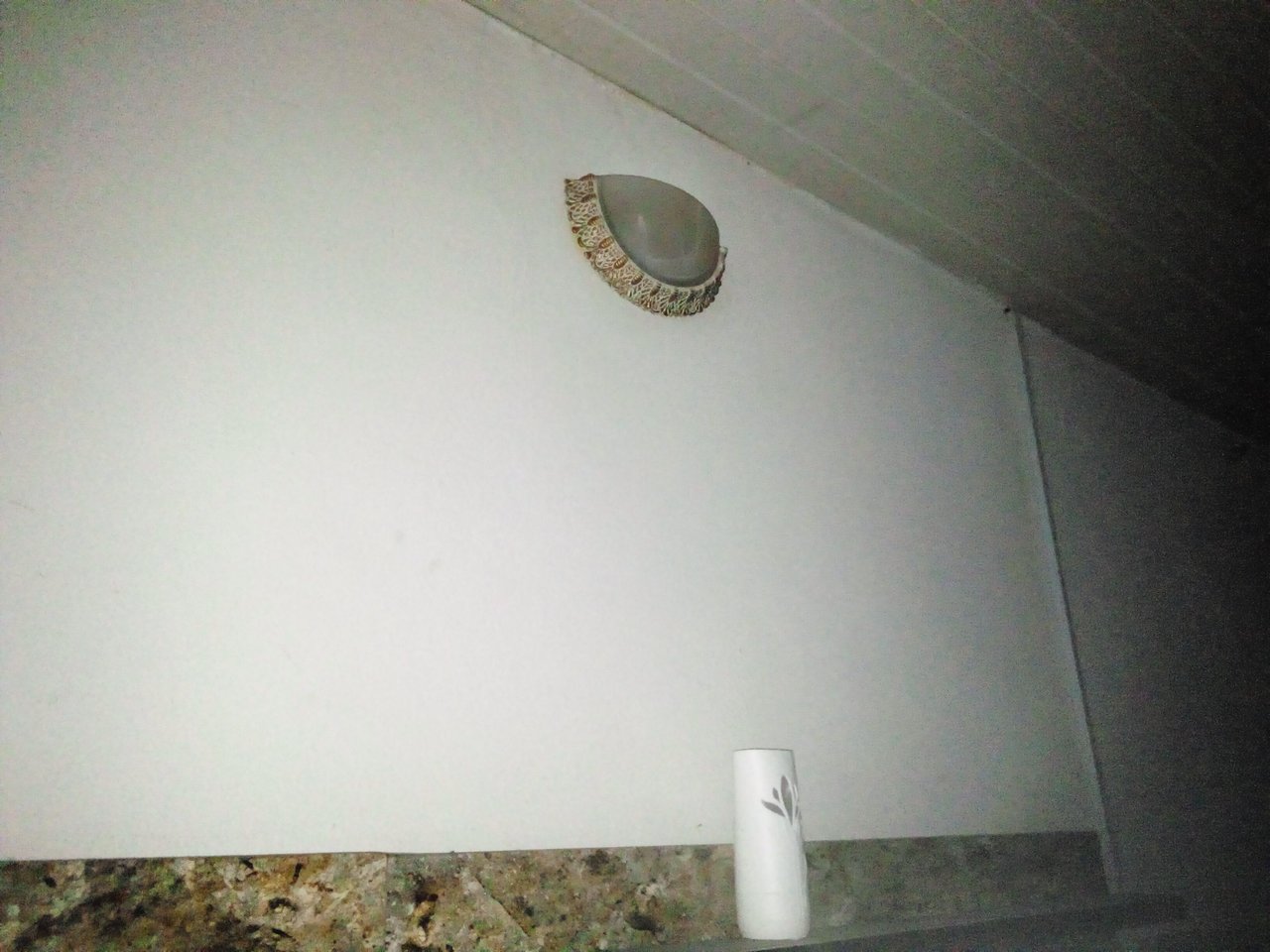 IMG_20231021_204036_505.jpg