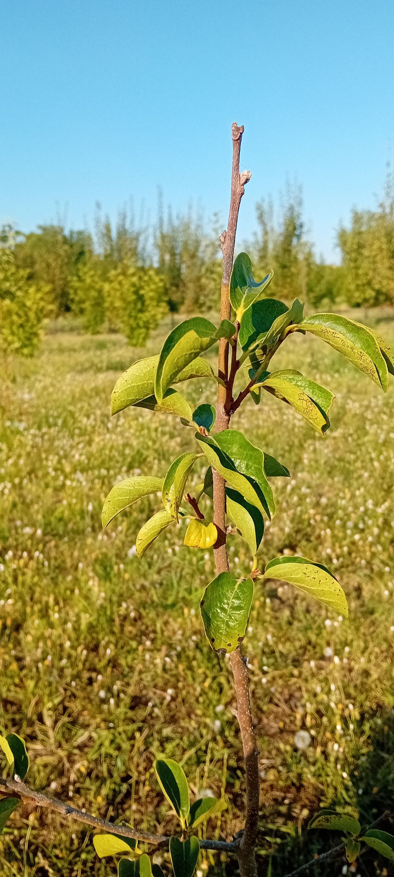 20250714_181659.jpg
