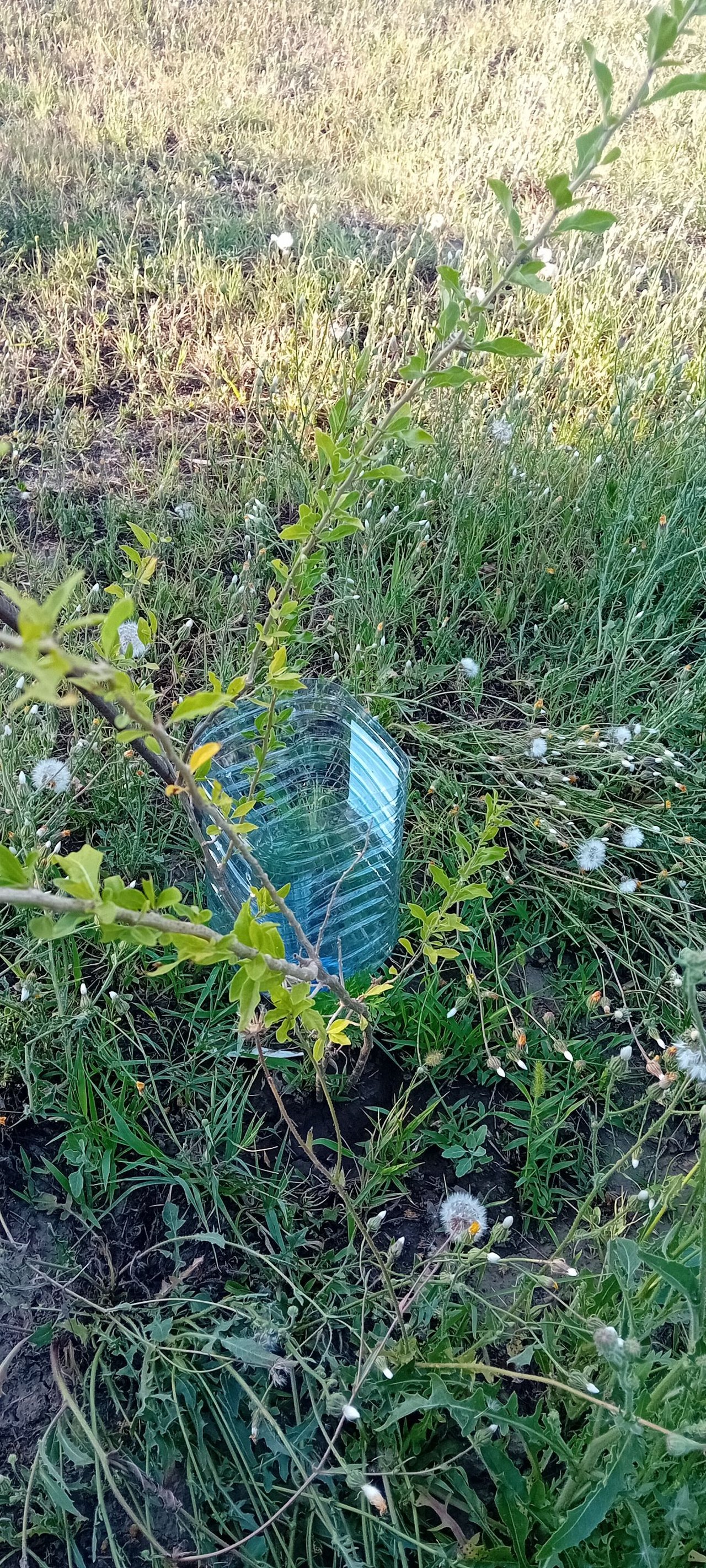 20250714_182108.jpg