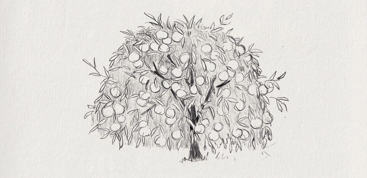 54-4 orange tree.png
