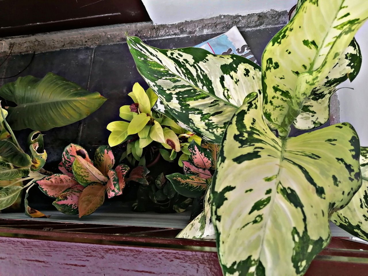 PicsArt_08-12-06.51.36.jpg