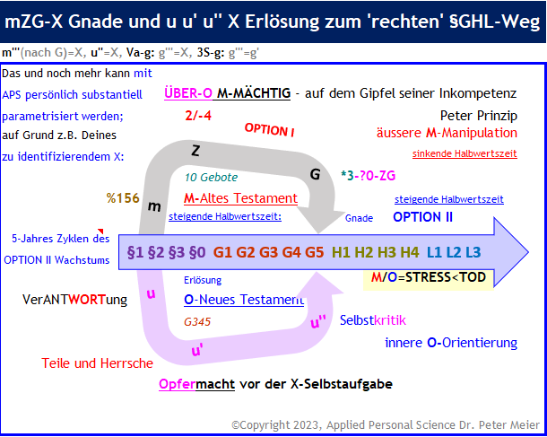 Hinweise auf das in Kap.1 erwähnte APS-App