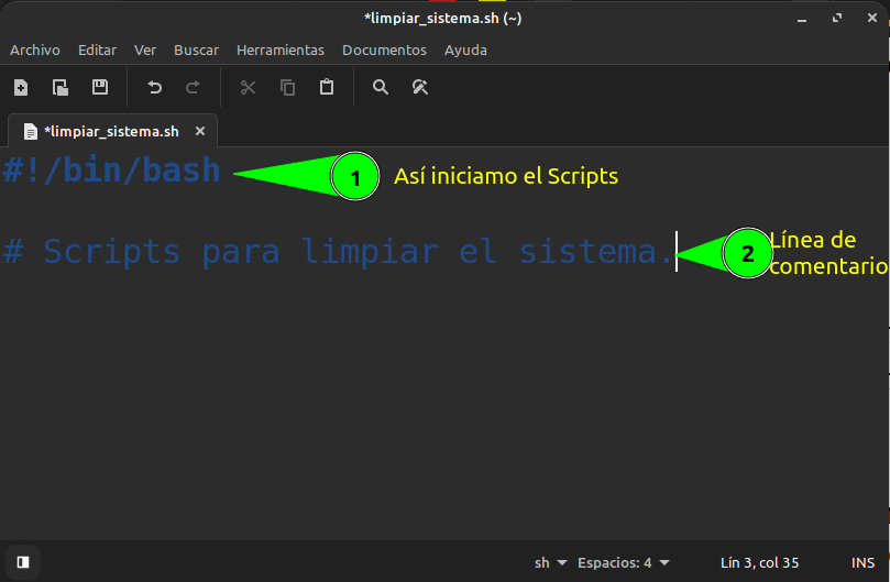 inicio_scripts.png
