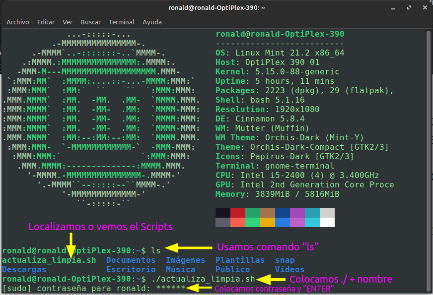 usando_scripts.png
