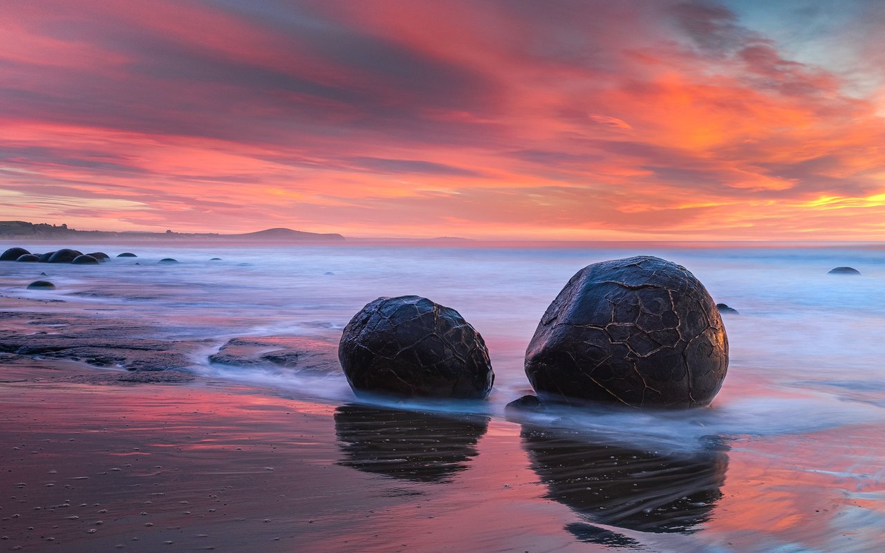 New_Zealand_P4180501.png