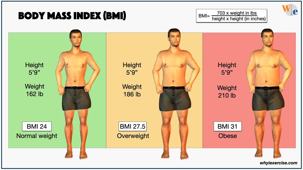 Image source:  whyiexercise.com