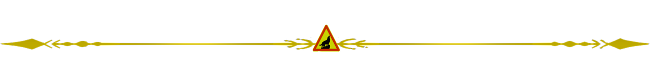 separador.png