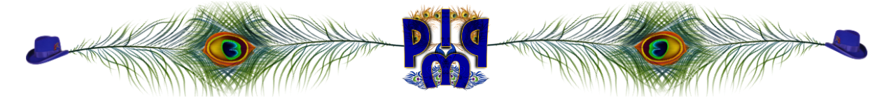PIMP divider 1.png