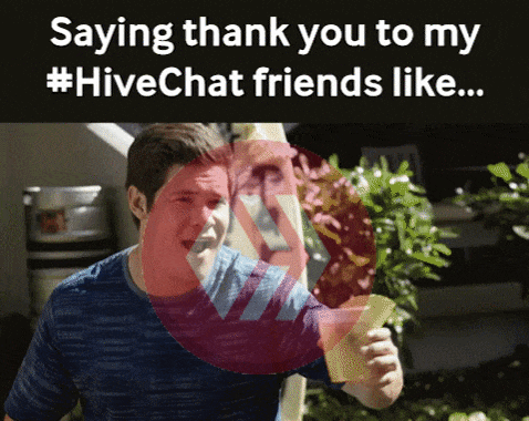 thank you to hive chat friends.gif
