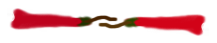 SEPARADOR CAMPANITA PAR TRINABRIL.png