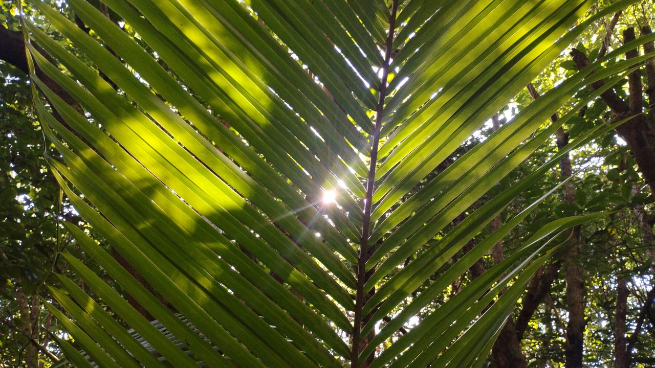 IMG_20250713_163233000_HDR.jpg