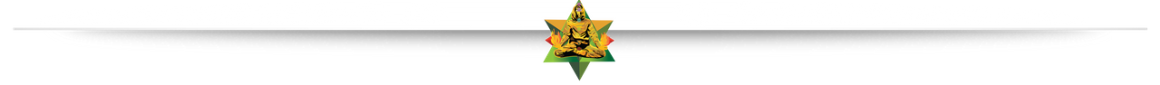 shadow_fw_new .png