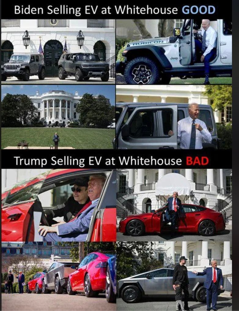 original-D55F3EC8-66C0-4010-BF3A-45DD171DEB43.jpeg