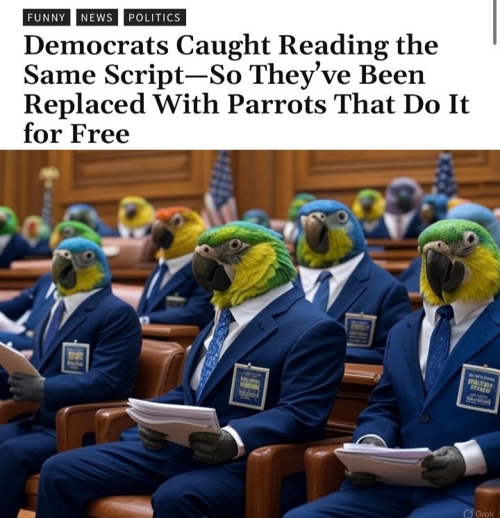 original-6B2A5555-5744-4465-A212-668D851D4409.jpeg
