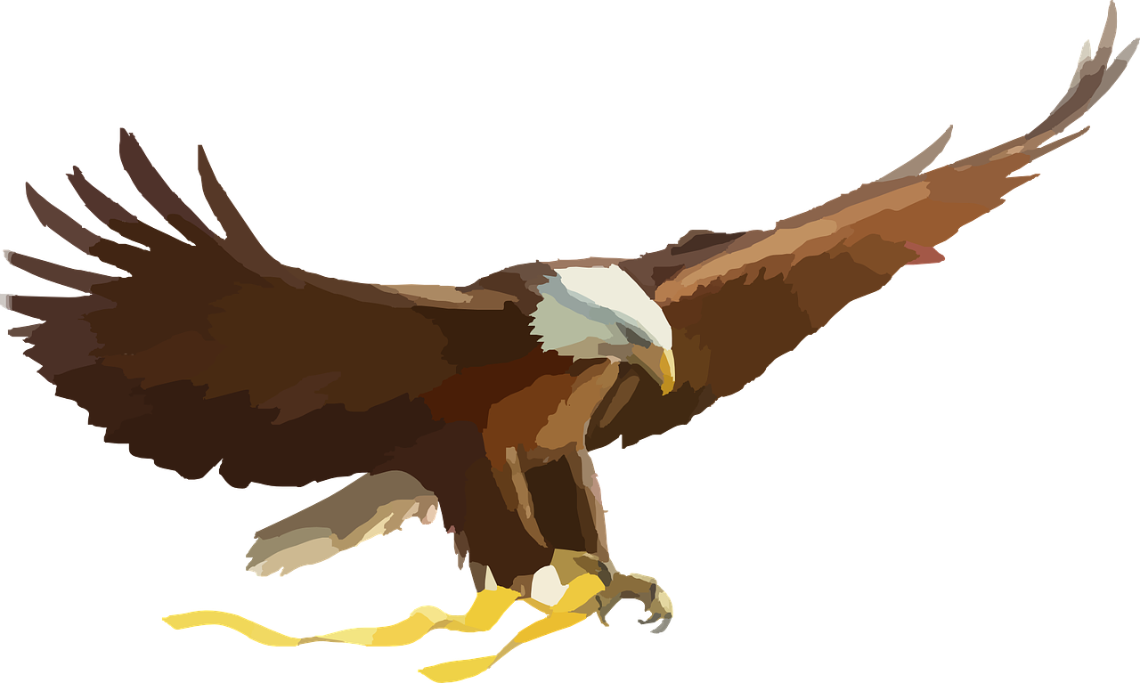 baldeagle297517_1280.png