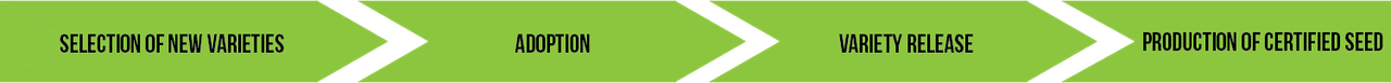 dfgf.png