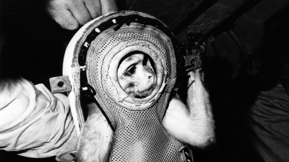 Space Suit