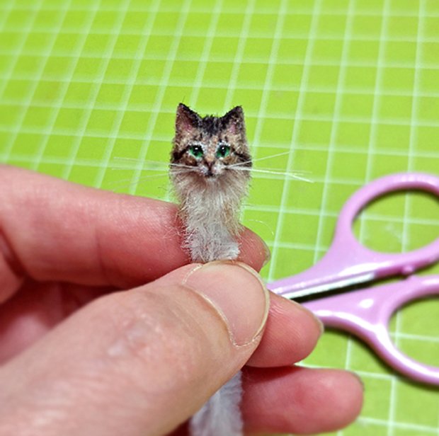 KittyHead1a.jpg